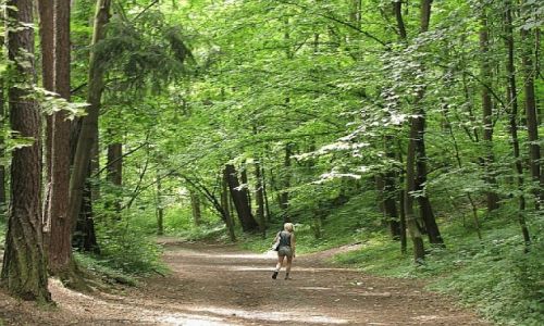 Zdjęcie POLSKA / Dolny Śląsk / Jawor / Wąwóz Mysliborski