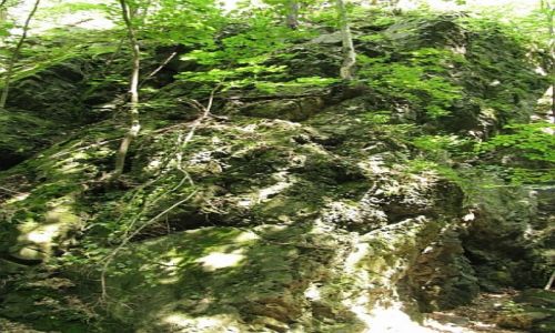 Zdjęcie POLSKA / Dolny Śląsk / Jawor / Wąwóz Mysliborski