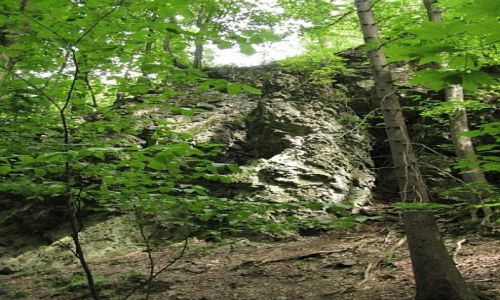 Zdjęcie POLSKA / Dolny Śląsk / Jawor / Wąwóz Mysliborski