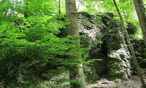 Zdjęcie POLSKA / Dolny Śląsk / Jawor / Wąwóz Mysliborski