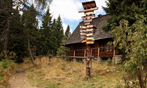 Zdjecie POLSKA / Gorce /  Turbacz. / W kierunku  Schroniska PTTK naTurbaczu.