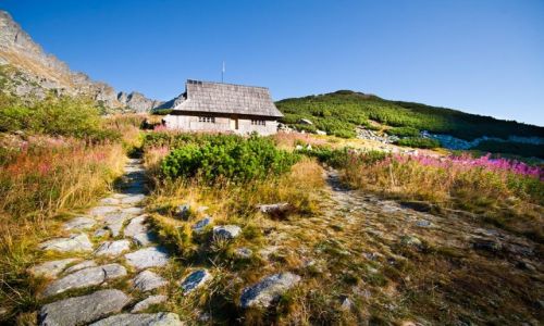 Zdjecie POLSKA / Tatry  / Dolina Piciu Staww / Konkurs. Dolina Piciu Staww