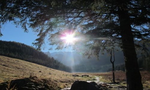 Zdjecie POLSKA / Poudniowa Polska / TATRY / TATRY
