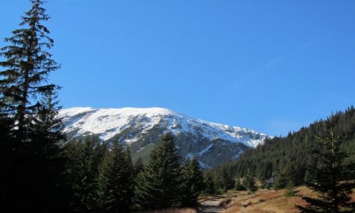Zdjecie POLSKA / Poudniowa Polska / TATRY DOLINA KONDRATOWA / TATRY