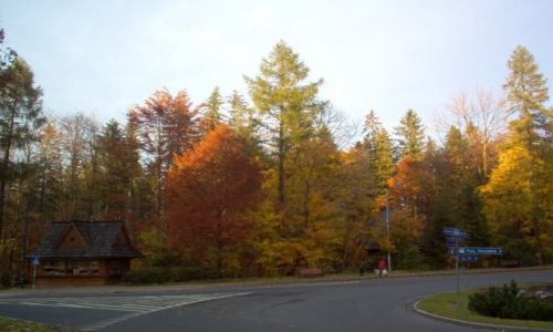 Zdjecie POLSKA / - / ZAKOPANE / ZAKOPANE