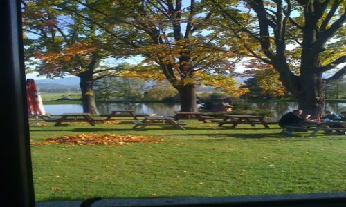 Zdj�cie POLSKA / dolnoslaski / kolo Boles�awca / jesie� w g�rach 