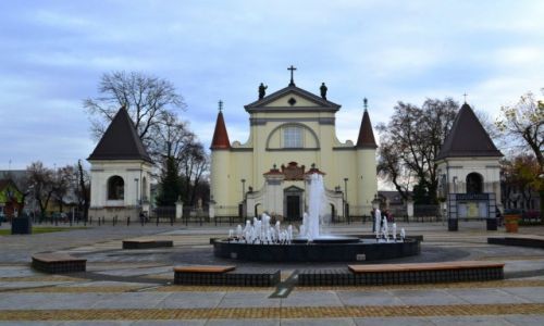 Zdjecie POLSKA / Mazowieckie / Wgrw / Bazylika mniejsza