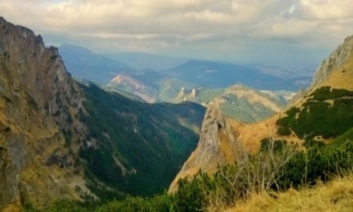 Zdjecie POLSKA / Zakopane / Zakopane / W drodze na Giewont