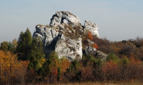 Zdjecie POLSKA / Jura Krakowsko-Czstochowska / Skaryce / Okiennik Wielki- jesiennie