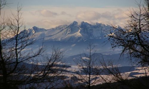 Zdjecie POLSKA / - / Jaworzyna / Tatry