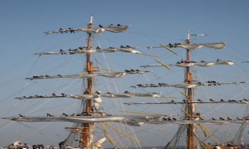 Zdjecie POLSKA / Pomorze Zachodnie / The Cutty Sark Tall Ship Race Szczecin 2007 / Meksykanie na Cuauhtmoc