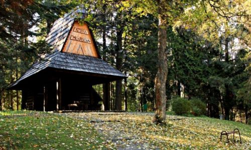 Zdjecie POLSKA / Beskid Sdecki. / Krynica Grska. / Polana Michasiowa.