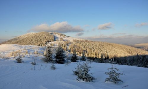 Zdjecie POLSKA / Beskid ywiecki / Beskid ywiecki  / konkurs