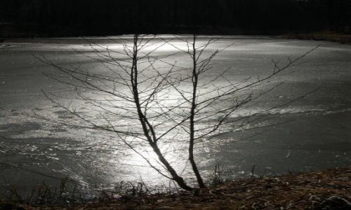 Zdjęcie POLSKA / Słupsk / Dolina Szarloty / mroźno