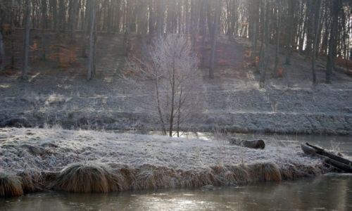 Zdjęcie POLSKA / Słupsk / Dolina Szarloty / cd mrozu...