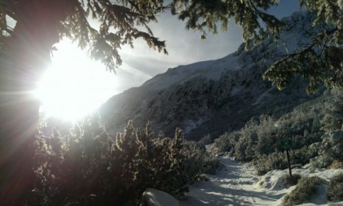 Zdjecie POLSKA / Karkonosze / Szlak niebieski / Na Karkonowskim szlaku w drodze do Samotni