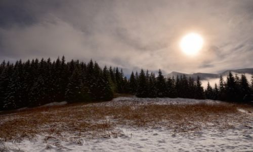 Zdjecie POLSKA / Tatry / Przysop Mitusi / Konkurs - Mga