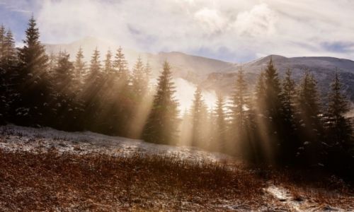 Zdjecie POLSKA / Tatry / Przysop Mitusi / Konkurs -  Polana socem zalana.