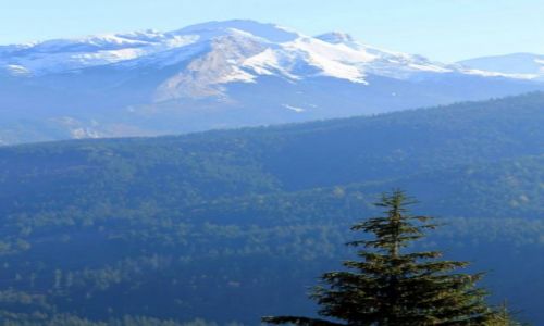Zdjecie POLSKA / Tatry / Mae Ciche / Gsia Szyja
