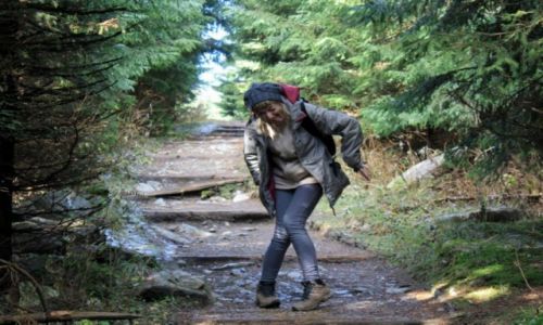 Zdjecie POLSKA / Tatry / Mae Ciche / Gsia Szyja