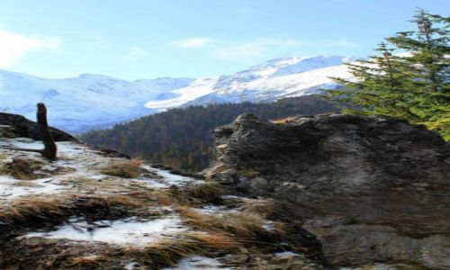 Zdjecie POLSKA / Tatry / Mae Ciche / Gsia Szyja