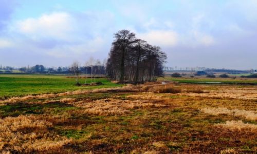 Zdjęcie POLSKA / Mazowieckie / Latowicz / Mazowieckie krajobrazy