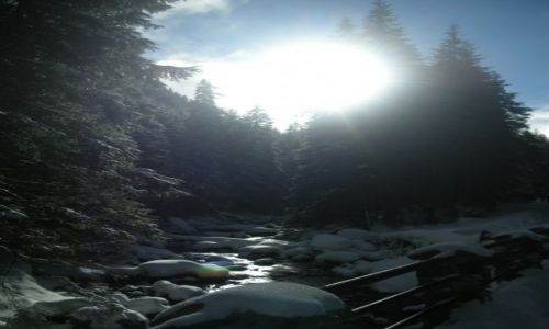 Zdjecie POLSKA / Małopolska / Zakopane / Tam wrócę - Zakopane