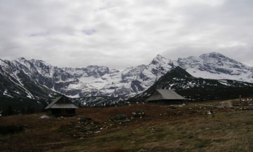 Zdjecie POLSKA / Tatry / Hala Gsienicowa / Cisza