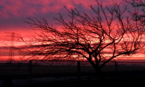 Zdjecie POLSKA / kujawsko-pomorskie / Chełmica / Zachód słońca