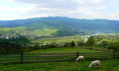 Zdjecie POLSKA / Beskidy / Beskid Sądecki / Piwniczna Zdrój