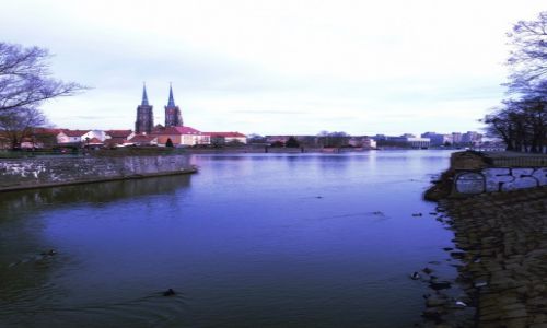 Zdjcie POLSKA / Wrocaw / Ostrw Tumski / 