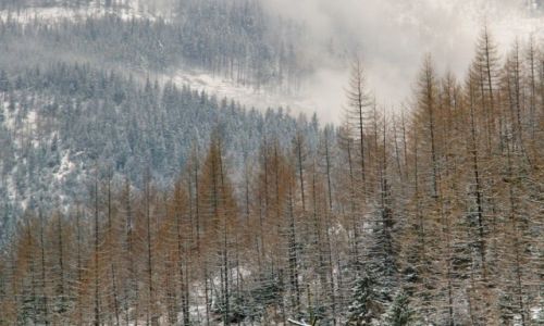 Zdjęcie POLSKA /  -  / Boczań / Góry 1