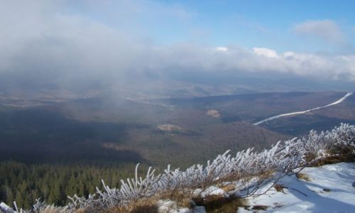 Zdjecie POLSKA / Babiogrski Park Nardowy / w drodze na Babi  / W zimowej odsonie II
