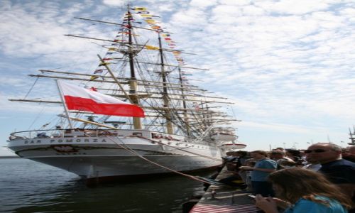 Zdjecie POLSKA / Pomorze / Gdynia / Biaa Fregata - Dar Pomorza 