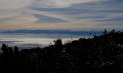 Zdjecie POLSKA / Beskidy / Babia Gra / Tatry o poranku