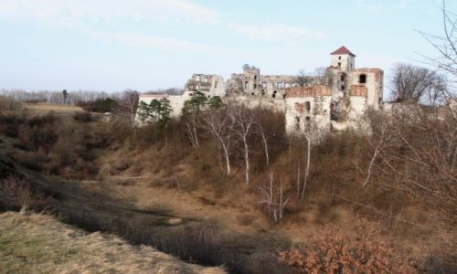 Zdjecie POLSKA / MAOPOLSKA / RUDNO - ZAMEK TENCZYN / ZAMCZYSKO