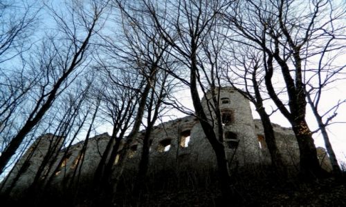 Zdjecie POLSKA / MAOPOLSKA / RUDNO-ZAMEK TENCZYN / ZAMCZYSKO C.D.