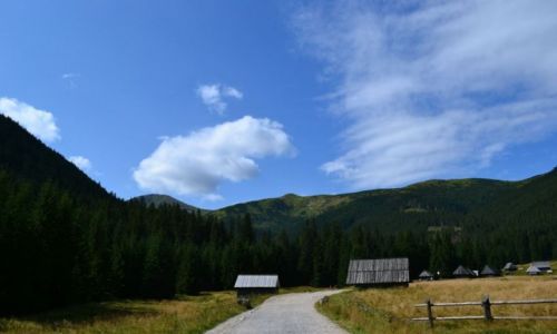 Zdjecie POLSKA / Tatry Zachodnie / Dolina Chochoowska / Bukolicznie