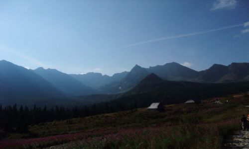 Zdjecie POLSKA / Maopolska / Tatry / sierpie 2013