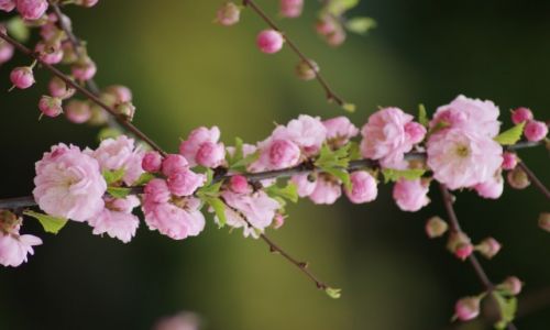 Zdjecie POLSKA / - / Beskid Mały / Konkurs