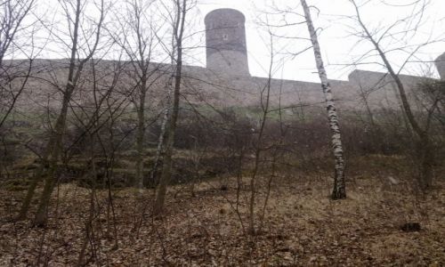Zdjecie POLSKA / witokrzyskie / Chciny / Zamek w Chcinach