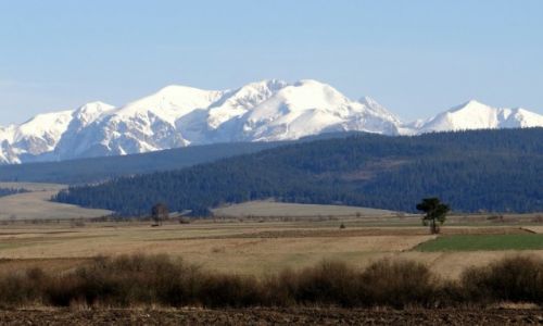 Zdjcie POLSKA / Maopolska / Jabonka / Tatry Zachodnie