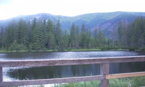 Zdjecie POLSKA / Tatry / Tatrzaski Park Narodowy / Smerczyski Staw
