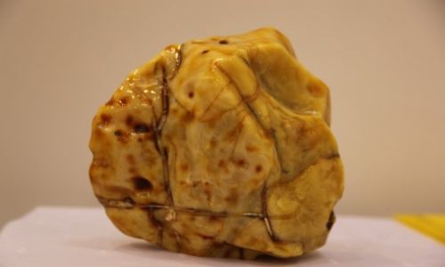 Zdjecie POLSKA / Pomorze / Gdanska / 2 kg bryka bursztynu