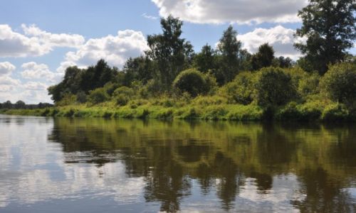 Zdjcie POLSKA / rzeka Narew / gdzie za om  / Rzeka