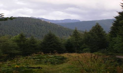 Zdjecie POLSKA / Podhale / Zakopane / plener