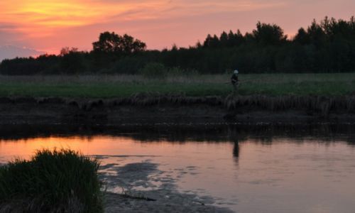 Zdjcie POLSKA / rzeka Wieprz / midzy Sobieszynem a Dblinem / Wdkarka
