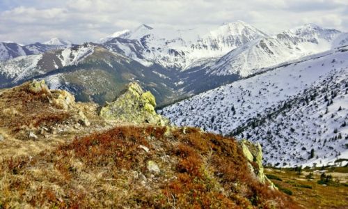 Zdjecie POLSKA / Tatry / Grze / Widok z Grzesia