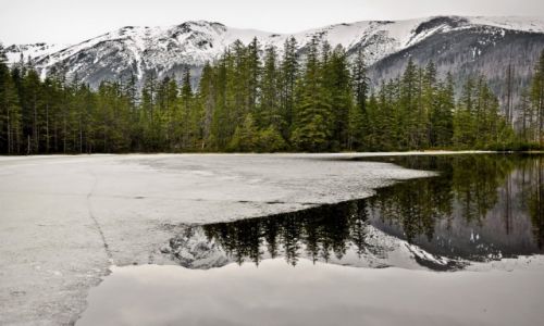 Zdjęcie POLSKA / - / Tatry / Staw Smreczyński