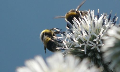 Zdjecie POLSKA / małopolska / kraków / konkurs
